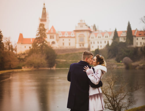 Winter wedding in Pruhonice